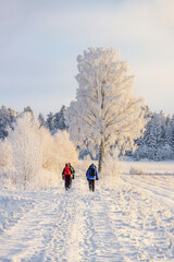 Wall Mural - group of people hiking on a snowy path a cold winter day
