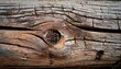 © eaglestudio9 - Holz Texturen Ansichten Vergrault Vermodert Verwuchert alt Moos bewachsen