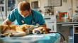 © ЮРИЙ ПОЗДНИКОВ - Veterinarian examining dog patient in animal hospital