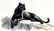 © Elfaa - Black panther resting calmly on a rock in a minimalistic background with copy space