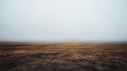 Leinwandbilder - A vast, open field stretches into the distance, shrouded in dense fog that softens the landscape. The muted colors of brown grasses create an eerie yet tranquil atmosphere at dawn.