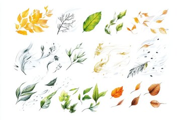 A collection of leaves in various colors arranged on a white surface