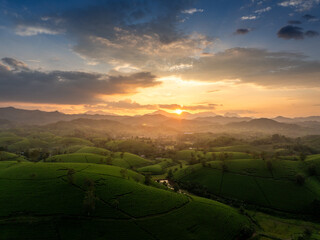 Aerial view of Long Coc tea hills, Phu Tho province, Vietnam. Beautiful green tea plantation in Vietnam. Nature background.