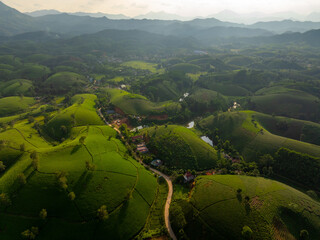 Aerial view of Long Coc tea hills, Phu Tho province, Vietnam. Beautiful green tea plantation in Vietnam. Nature background.