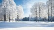 © Suleyman - Frosty trees stand in a peaceful winter forest covered in snow. The scene is calm and serene.