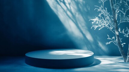 Fototapete - A round platform is positioned in a serene setting featuring a frosted tree. Soft blue lighting casts shadows, creating a tranquil atmosphere, ideal for artistic performances or displays.