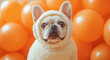 © Juanmarcos - A dog in a costume with balloons, created with Generative AI technology.