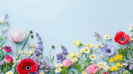 Wall Mural - colorful flowers on a blue background