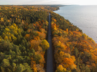 Wall Mural - Car driving on a autumn road in Sweden near Gränna, from above, forest with vibrant yellow, orange and green colors.