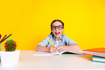 Wall Mural - Photo of charming excited cheerful nerd pretty girl wear trendy jeans clothes write hometask isolated on yellow color background