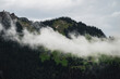 © Travel 'n' Lifestyle - View of majestic Bernese Alps with fog and greenery, Lauterbrunnen, Switzerland.