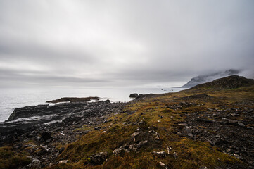 Wall Mural - nature sceneries taken from Fauskasandur beach along the route 1 between hofn and Egilsstadir, Iceland