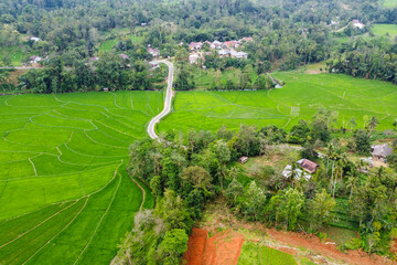 panorama of rice fields, gardens and houses in the countryside