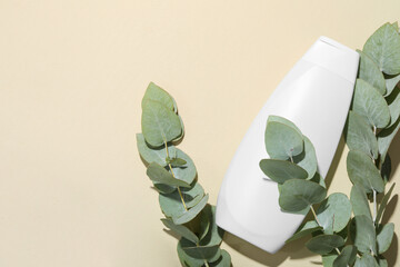 Canvas Print - Shampoo in bottle and green eucalyptus leaves on beige background, top view. Space for text