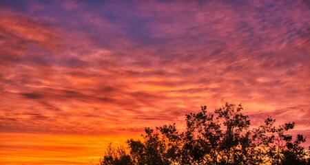 sunset in the field