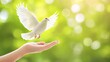 © pvl0707 - A hand gently releasing a white dove into warm sunlight, capturing the essence of freedom and sacred peace in a serene moment