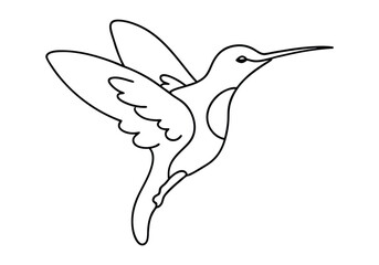 Wall Mural - One Line Art of a Hummingbird in Flight – Minimalist Nature Vector