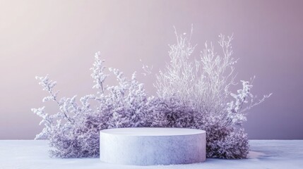 Poster - A serene winter setting features a circular pedestal surrounded by frosted plants. The soft pastel backdrop creates a tranquil atmosphere, enhancing the beauty of the snowy landscape.