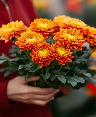 Fresh Chrysanthemums in Hands of Vendor