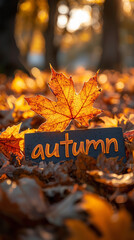 Wall Mural - autumn leaves on the ground and the word 