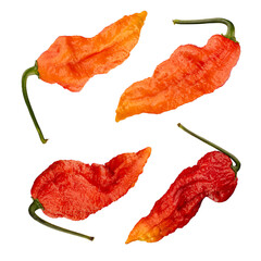 Wall Mural - Four ghost peppers