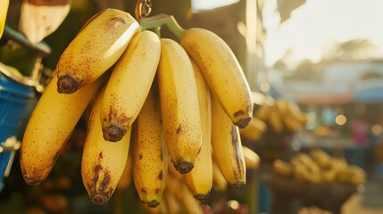 Bunch of fresh, ripe bananas hanging on an open-air farmers market, organic tropical fruit, healthy food and vegetarian diet, sale of agricultural products, fruits and vegetables, retail and farming