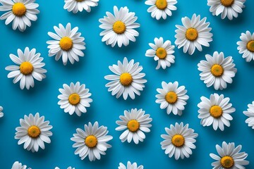 Daisy pattern on turquoise background