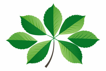 Sticker - Green leaves on a white background