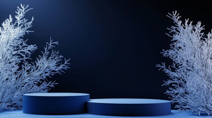 Poster - Two circular platforms rest on a smooth surface, surrounded by frost-covered branches. The dark background enhances the wintry ambiance, creating an ideal setting for a seasonal presentation.