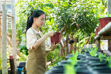 Asian woman holding red pot with young vegetable plant while inspecting in an outdoor garden setting. eco-friendly gardening practices, nurturing plants for sustainable organic food production.