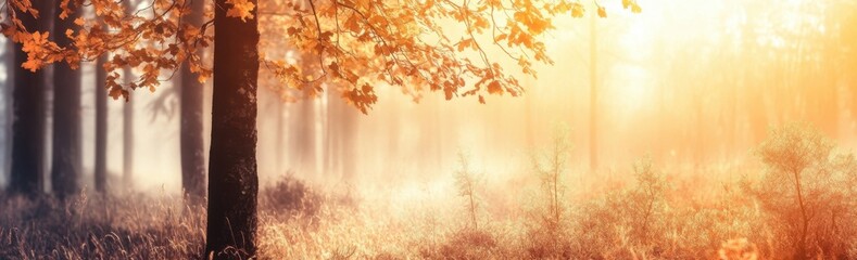 Wall Mural - beautiful autumn forest with yellow leaves in the morning, panoramic banner generative ai