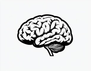 A black and white illustration of a human brain, viewed from the side.