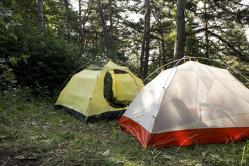 Wall Mural - Modern camping tents in forest on sunny day