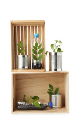 Wall Mural - Recycling concept. Wooden crates with plants in bottles and cans isolated on white