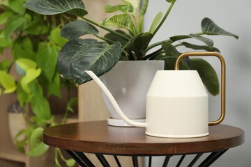 Canvas Print - Watering can and beautiful houseplant on wooden table indoors