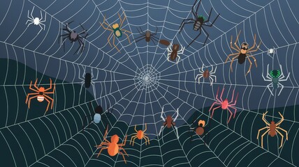 web-with-a-spiders-on-a-white