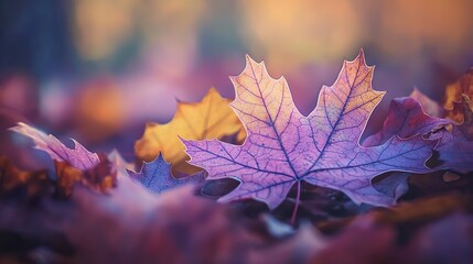   A detailed shot of a purple and yellow foliage amidst an array of similar hues spread on the floor, with a faintly out-of-focus backdrop