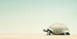 © IRStone - Turtle, slow but strong  and resistant animal, conceptual  background with copy space