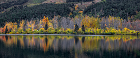 Wall Mural - panoramic view of autumn trees with reflections in the lake in alaska.