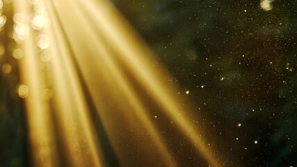 Wall Mural - Golden sunlight streams through a dark forest, illuminating dust particles in the air