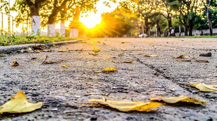 Sticker -   A sunny street with fallen leaves on the ground and trees casting light on the opposite side