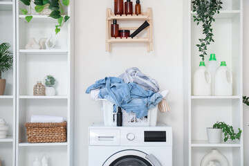 Canvas Print - Interior of light laundry room with washing machine, clothes basket and houseplants