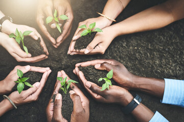 Aufkleber - Business people, hands and soil for ecology growth, support and help in sustainable environment. Employees, sprout and team with sapling for eco friendly mission, solidarity and zero carbon footprint