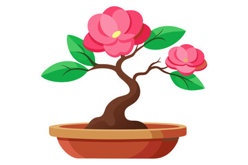 Poster - Camellia flower. Camellia bonsai pot flower, isolated on white background