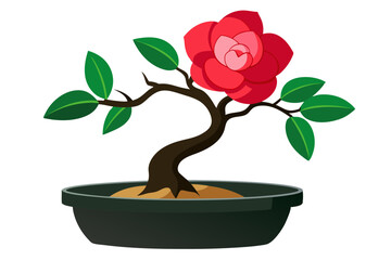 Poster - Camellia flower. Camellia bonsai pot flower, isolated on white background