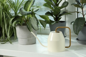 Wall Mural - Watering can and beautiful houseplants on window sill indoors