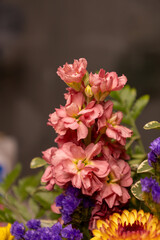 Wall Mural - Full frame macro abstract texture background of an indoor floral arrangement, featuring stocks (matthiola incana), with copy space