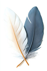 Wall Mural - Aesthetic harmony the beauty of white and gray feathers in contrast