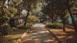 © Mahavira Osa - Sun-Dappled Path Through Lush Green Trees