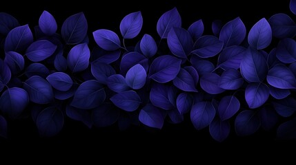 Wall Mural - Blue leafy plant with a dark background. The leaves are very close together and the background is dark